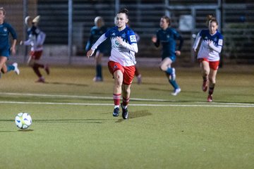 Bild 347 - F SC Alstertal-Langenhorn - Hamburger SV 3 : Ergebnis: 2:2
